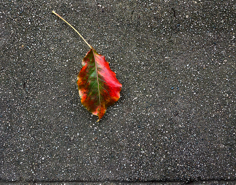 _1010546.jpg