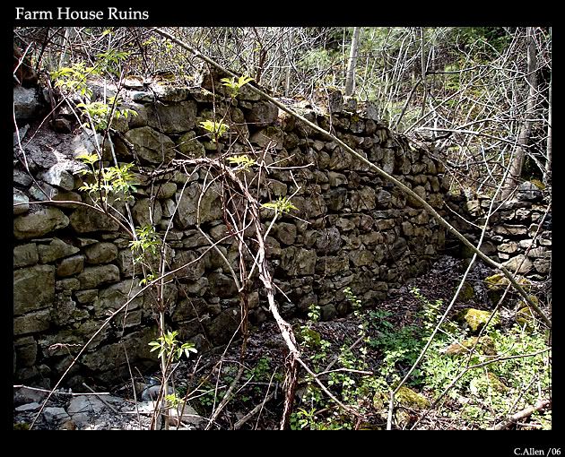 FarmHouseRuins1.jpg