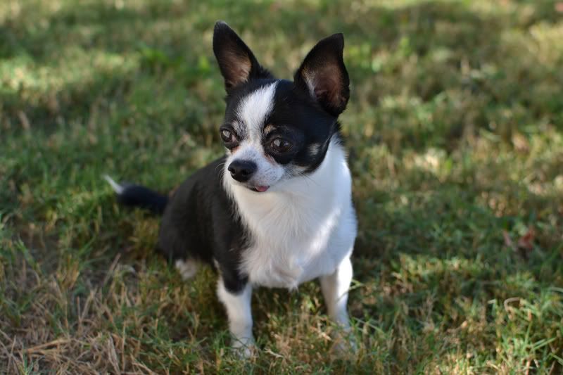 DSC_2670.jpg