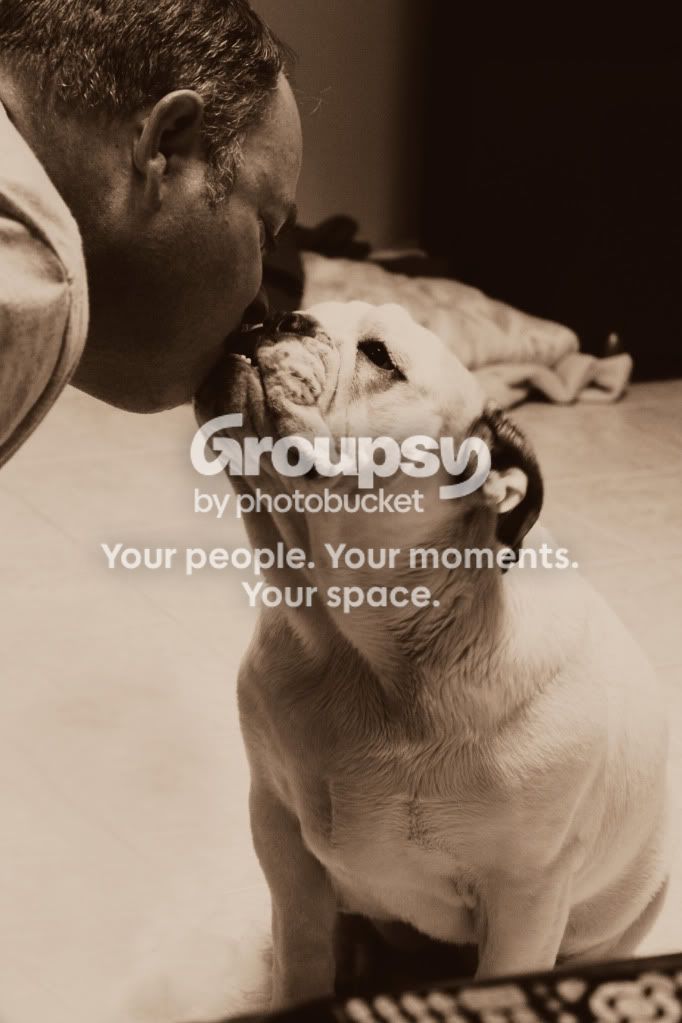 dog.jpg