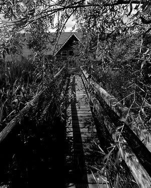 wooden_bridge_by_Coop81.jpg