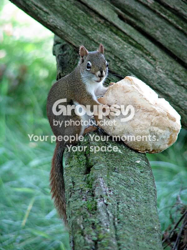 IMG_4079sm.jpg