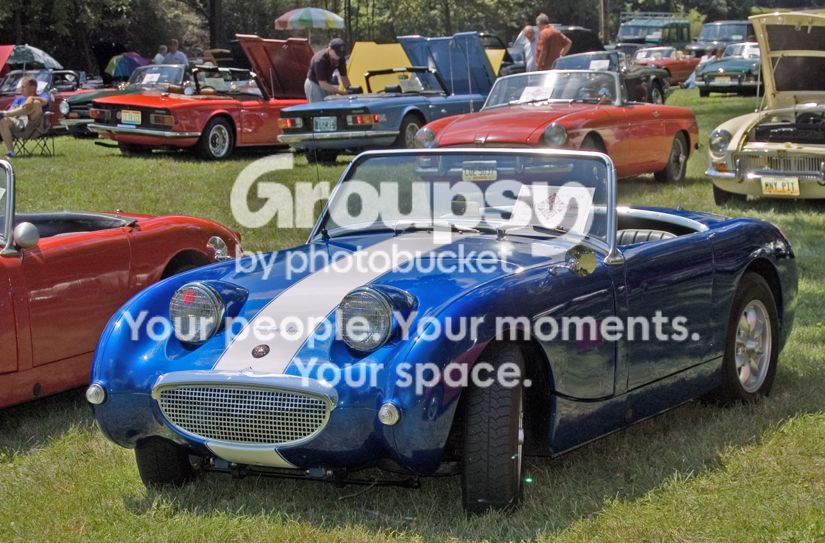 Bugeye001081206.jpg