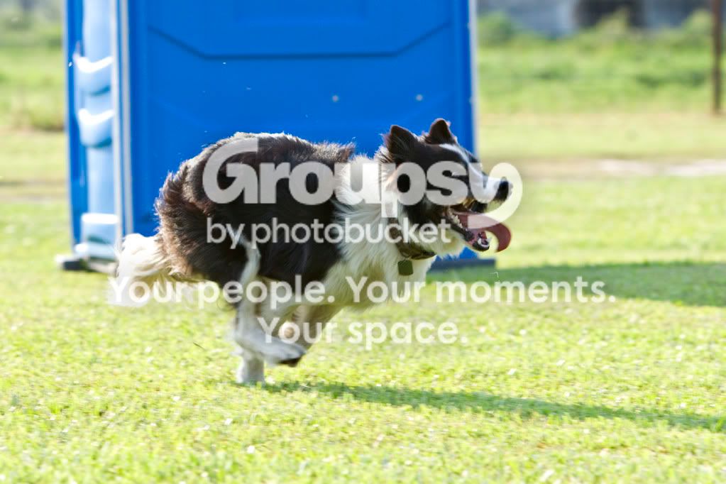 IMG_6285jh6.jpg