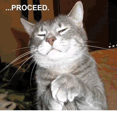 moarcats.gif