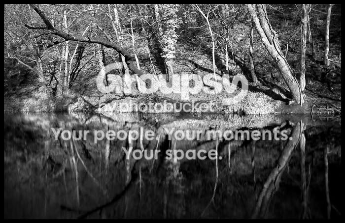 reflection1.jpg
