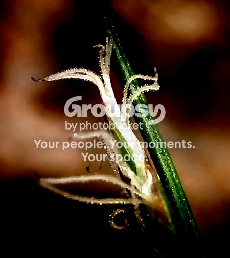 IMG_6654edit.jpg