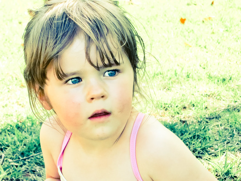 7040413357_a81928b779_c.jpg