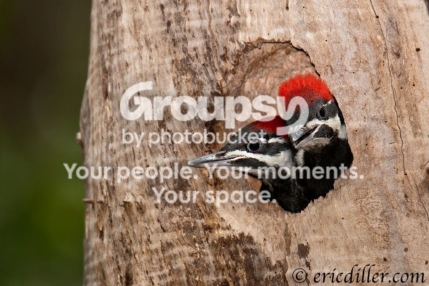 _ECD4418-copy860.jpg
