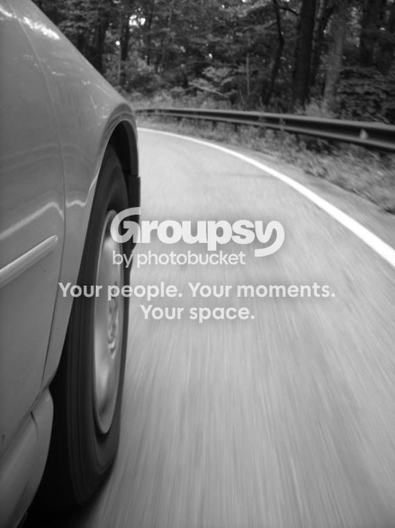 SS850795.jpg