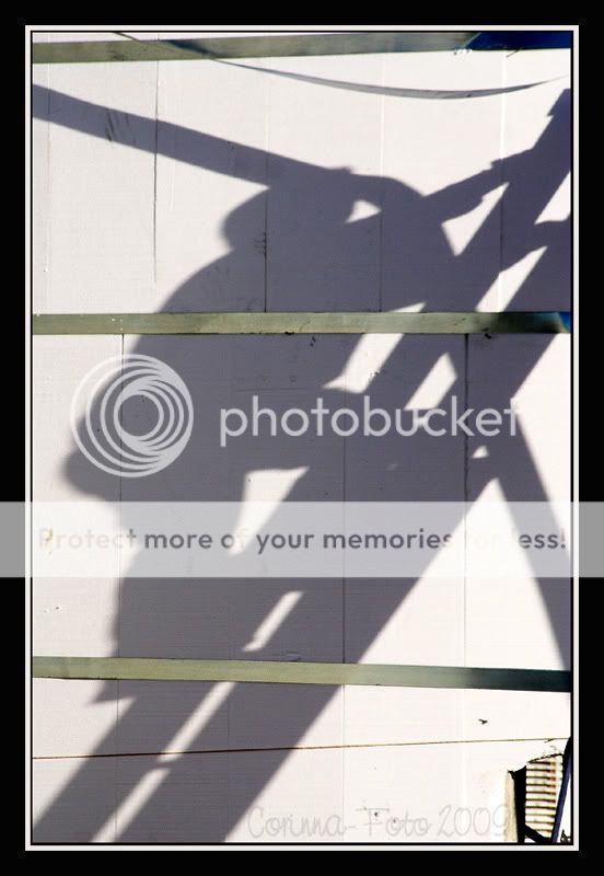 Thema_Shadows_03.jpg