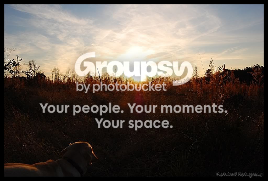 Dogandsunset.jpg