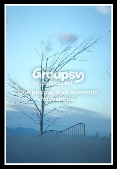 BlueFogFRAMED.jpg