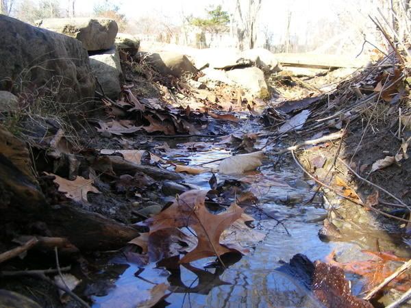 picresized_th_1200085122_stream.jpg