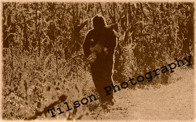 2973028798_aaed0ae7b9_o.jpg