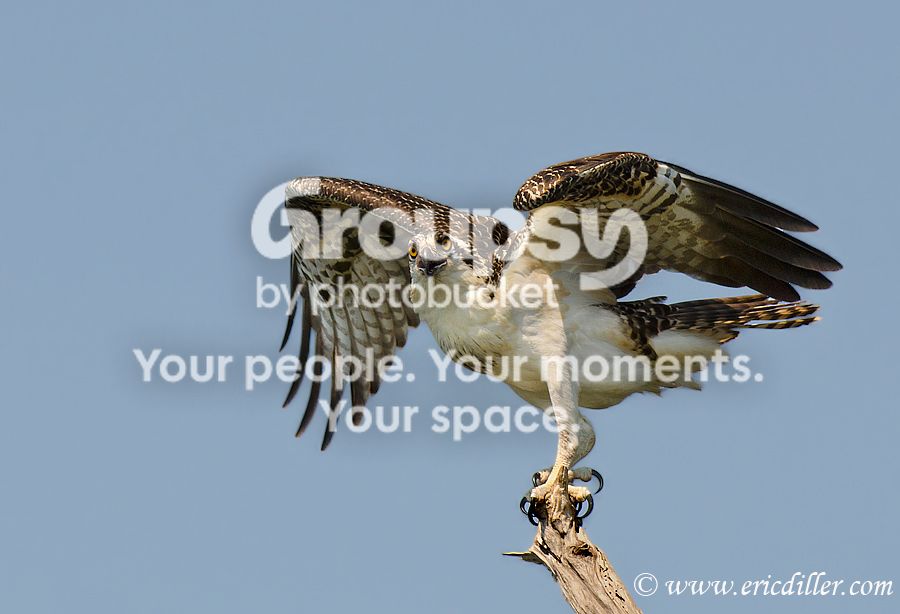 _ECD7794-copy900.jpg