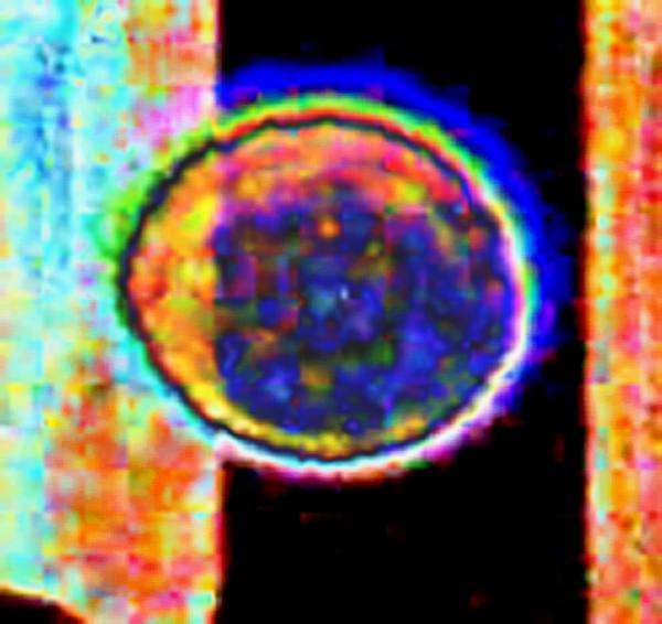 2783045548_29615b455a_o.jpg
