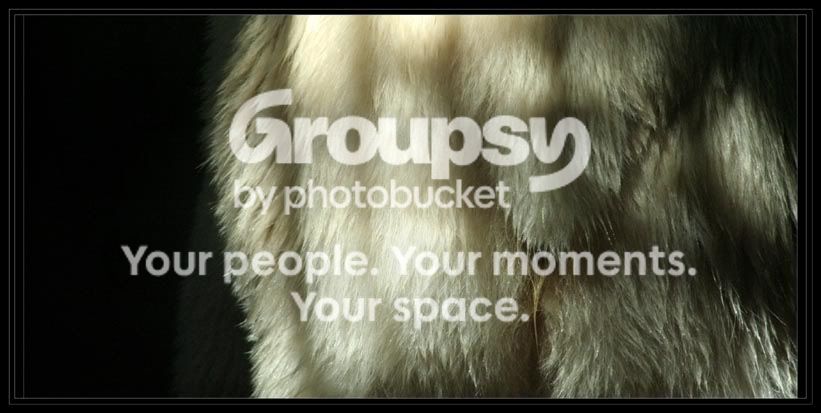 polarbutt.jpg