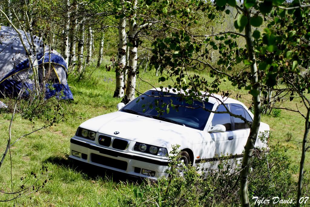 offroadbimmer3IC.jpg