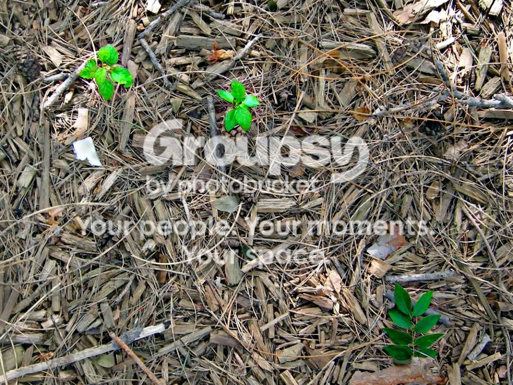040.jpg