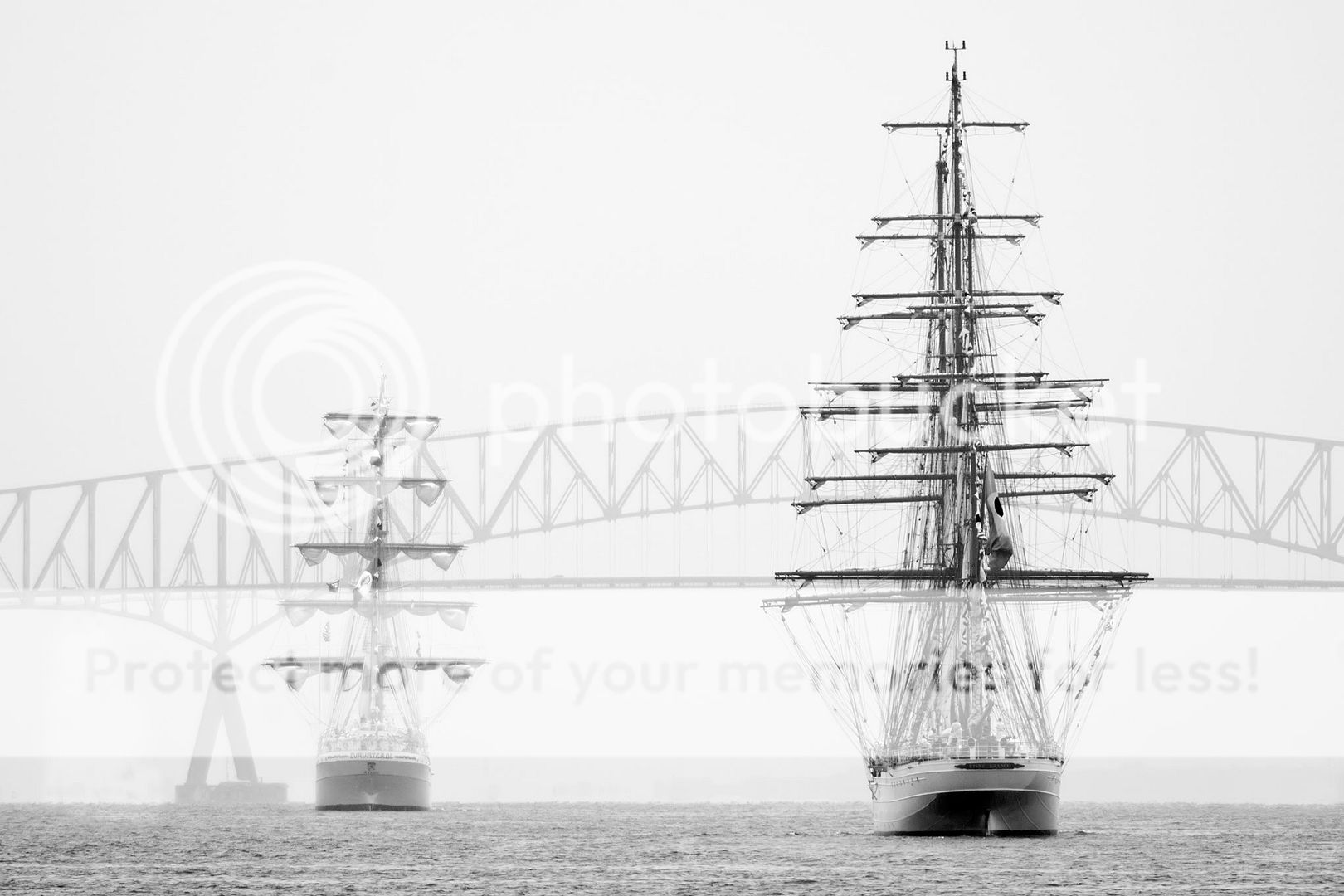 DSC_3460_BW.jpg
