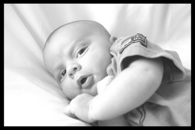 garrett7weeksframecontrast.jpg