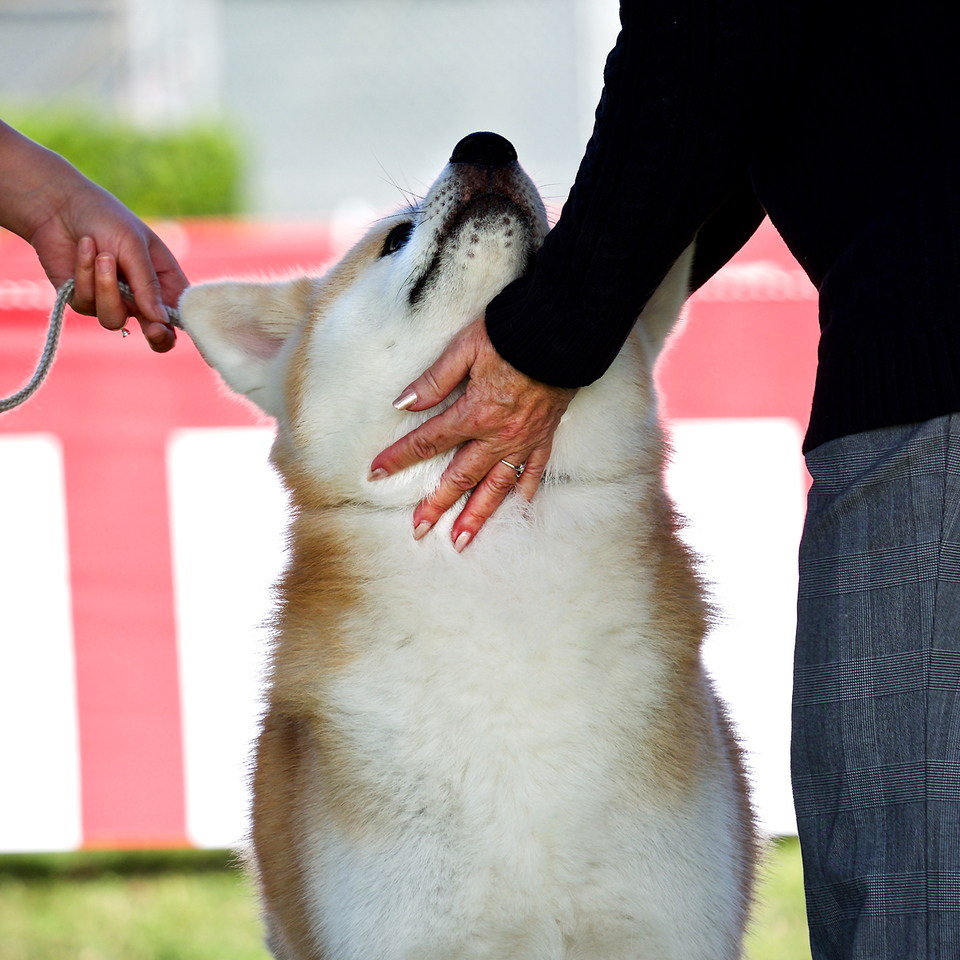 aperture%20103-X2.jpg