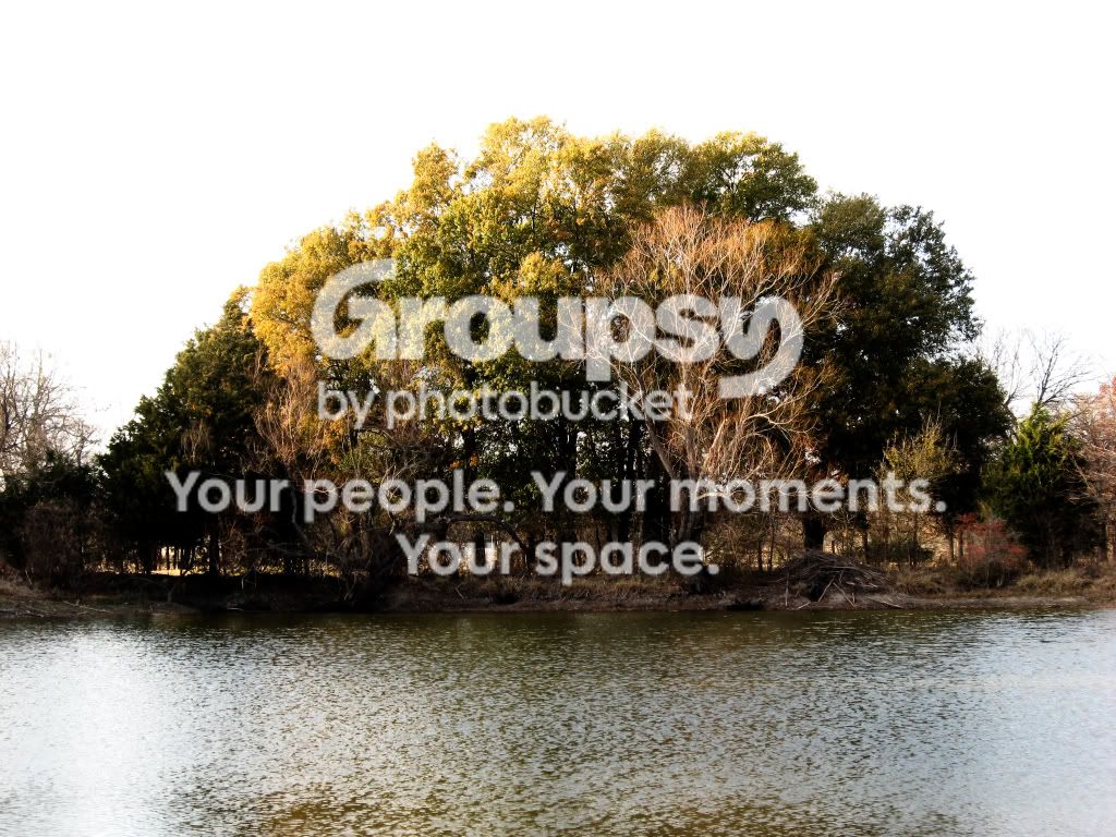 lake.jpg