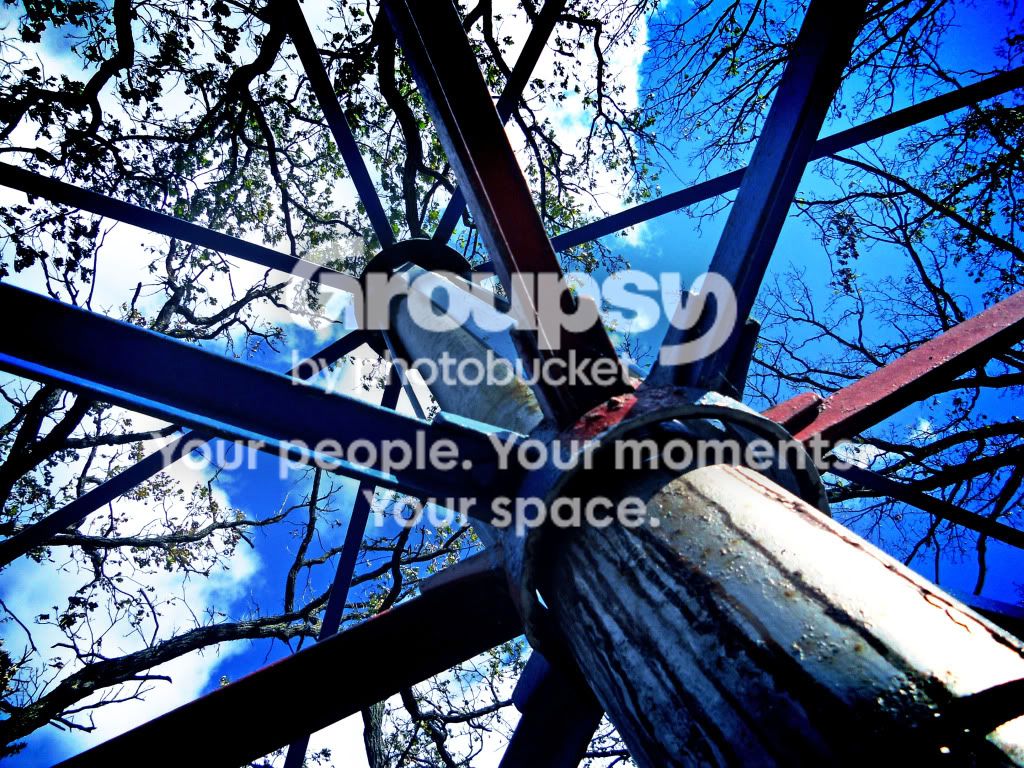 DSCN2713-Feelingsoblue.jpg