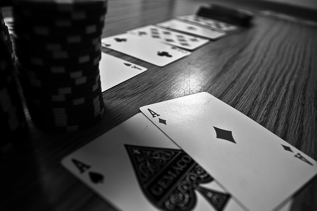 3229456237_e76b16a0d9_b.jpg