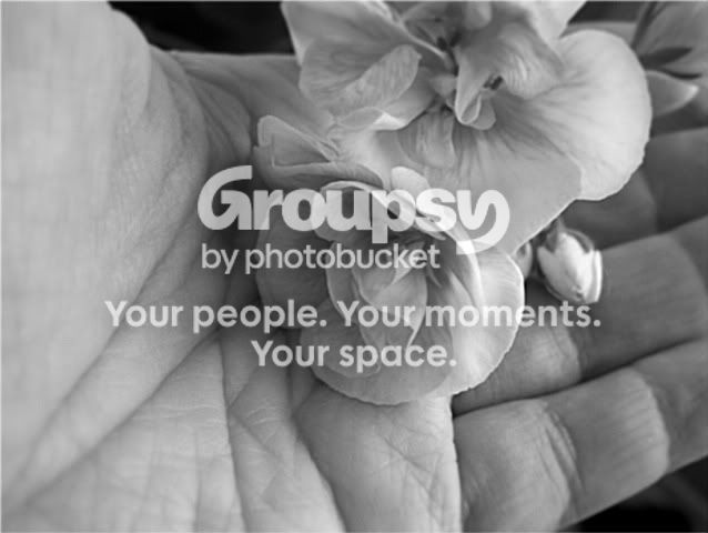 Jan162009029-1.jpg