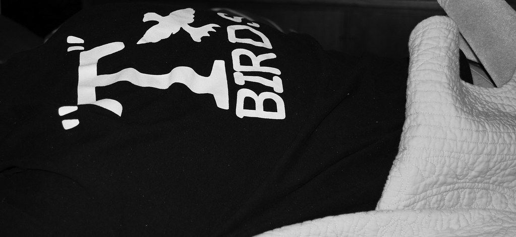 2011529749_a33a93b260_b.jpg