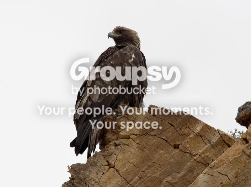Untitled-1-1.jpg