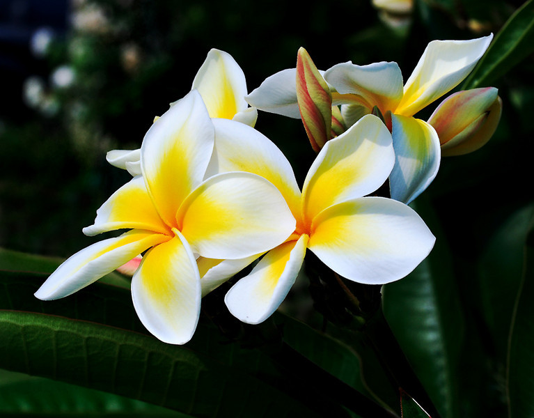 DPP_0029-L.jpg