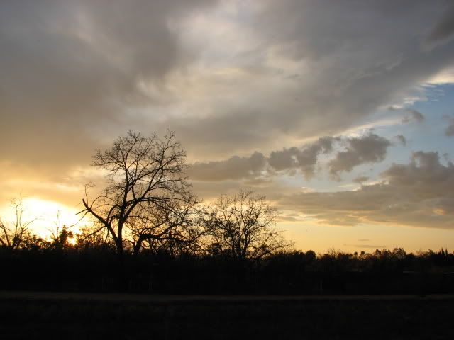 IMG_6049.jpg