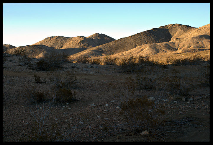 DSC_0217ppweb.png