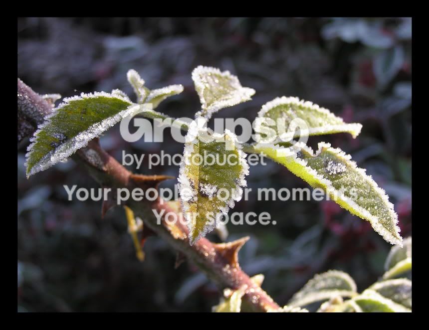 PB210076wborder_resize.jpg