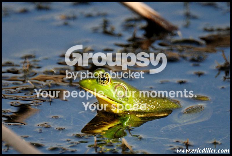 PIC_7831copy.jpg