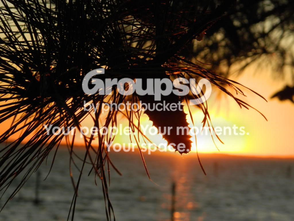 10-15-2011001.jpg