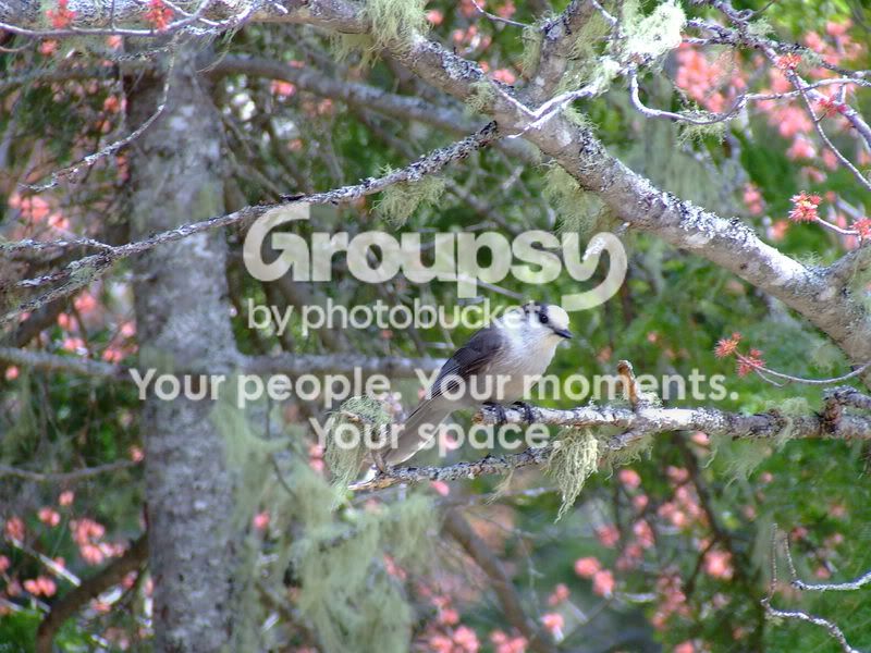 DSCF6932.jpg
