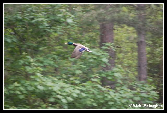 DSC_0023.jpg