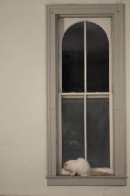 windowSMALL.jpg