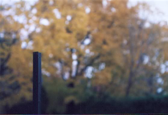 fall.jpg