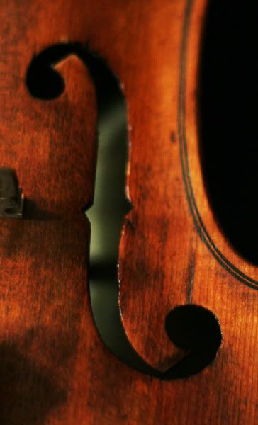 violin1549.jpg