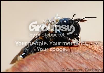 myspace53-1.jpg