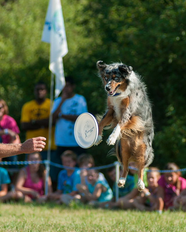 7714692012_21b5c4dfd6_c.jpg