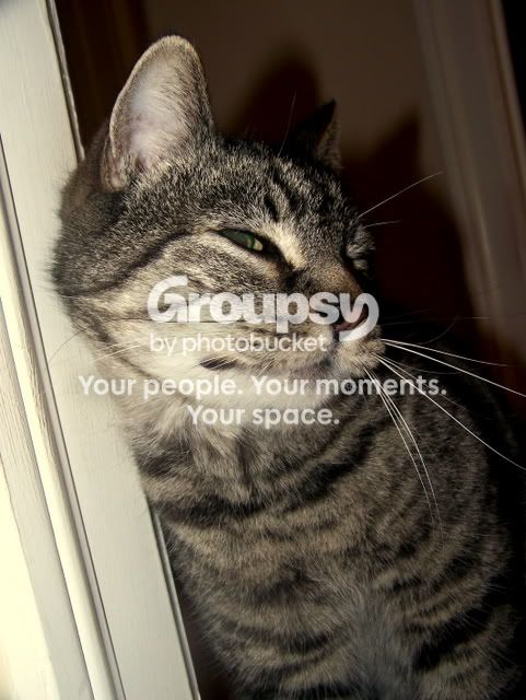 100_5624.jpg