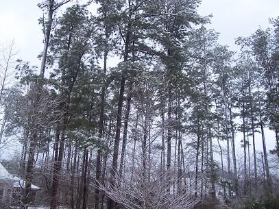 100_0832.jpg