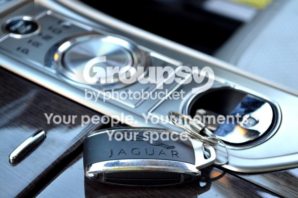 DSC_0213copy.jpg