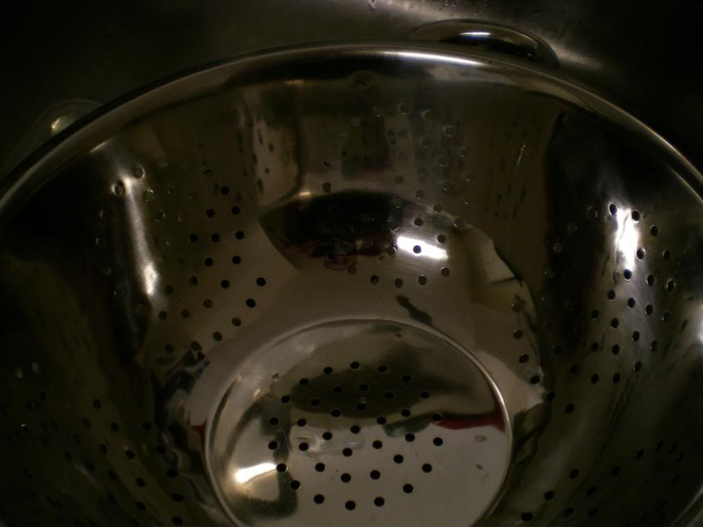 DSCN0903.jpg